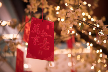 traditional Japanese wishing tree