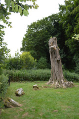  Ancient Stone Circle Winterbourne Abbas Nine Stone Dorset England