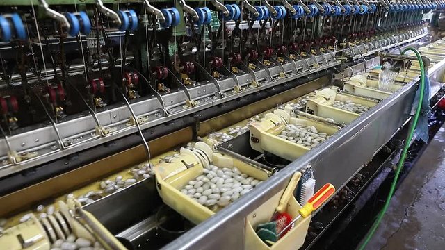 Industrial machinery for the production of silk thread.
