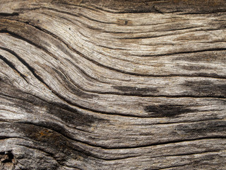 old wooden texture background