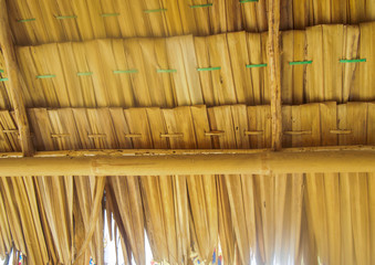 Thatched roof