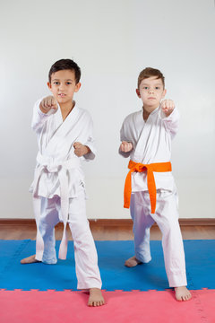 Two boys demonstrate martial arts working together