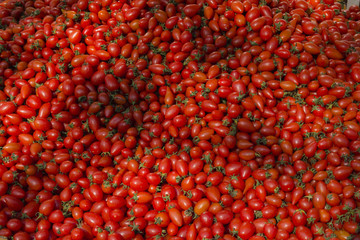 Huge pile of fresh cherry tomatoes for sale in marketplace in the sun