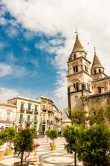 Naklejka premium trees on the church square