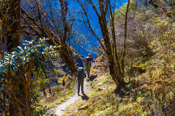 Fototapeta premium People on Hike in tropical Forest in Nepal Himalayas
