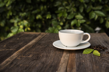 cup on wood table with green nature background