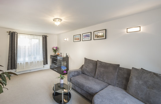 Light living room with carpet
