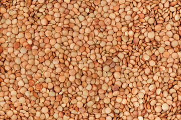 brown lentils background