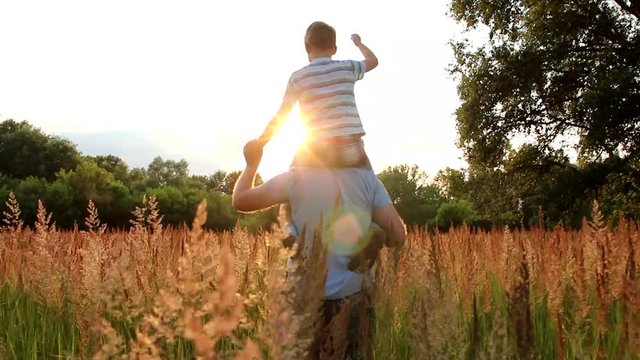 Little son sits on shoulders of daddy. Family having fun outside in beautiful meadow in sunset sunlight. Real time full hd video footage.