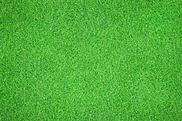 green grass natural background