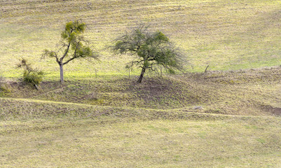 rural landscape in Hohenlohe