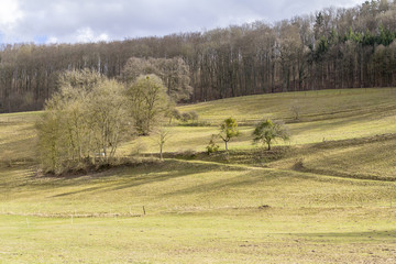 Fototapeta premium rural landscape in Hohenlohe