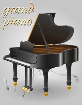 grand piano musical instruments stock vector illustration