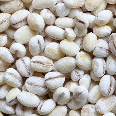 Barley Macro