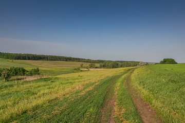 Fototapeta na wymiar Reservoirs and field shelterbelts in the fields near the village of Novoselivka in the Novo-vodolaz'ke district, Kharkiv region of Ukraine. 2007