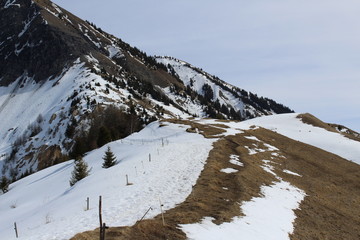 paysage de montagne en hiver