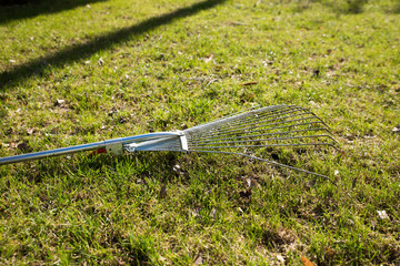Obraz premium Rake on grass