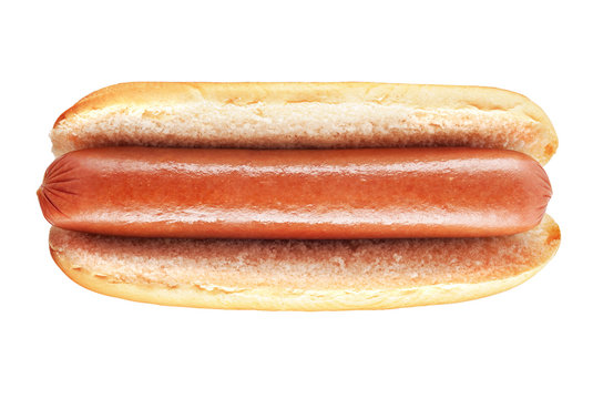 plain hot dog drawing