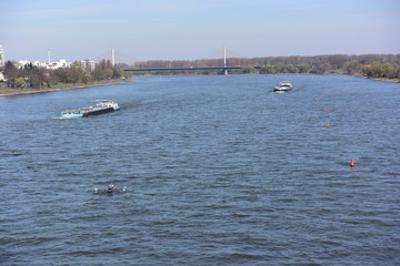 Obraz premium Rhein Landschaft