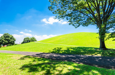 木漏れ日と緑の丘