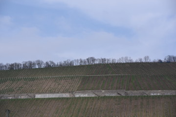Entlang des Mains bei Würzburg