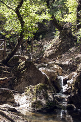 Naklejka na ściany i meble Small waterfall in forest
