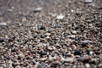 The pebbles on the beach