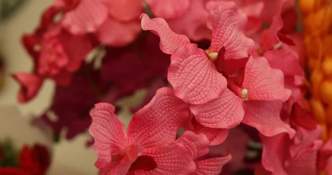 Micro shot of the Flowers