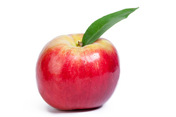 red apple isolated on the white background