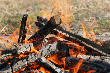 Burning bonfire