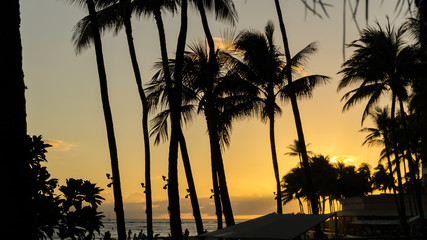Obraz premium Oahu sunset