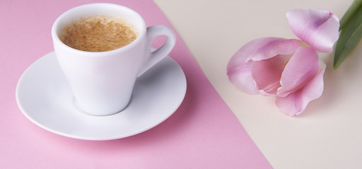 espresso and tulip 