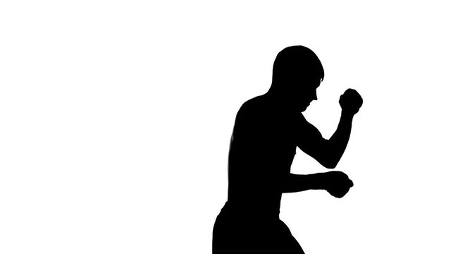 Silhouette of a boxer in training on a white background