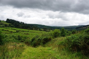 Landschaft in Irland