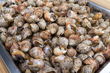 Fototapeta na wymiar Snails baked with garlic and spicy traditional asian food