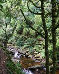 Killarney Nationalpark