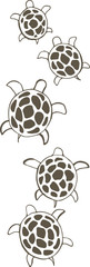 small sea turtles
