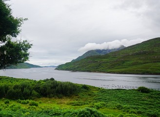 See in Irland