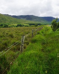 Fototapeta premium Landschaft in Irland