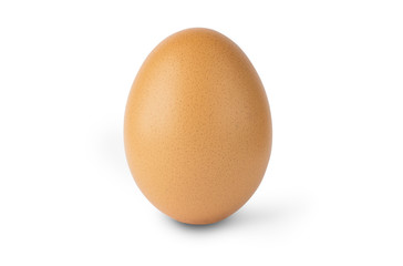 Single brown chicken egg isolated on white background.