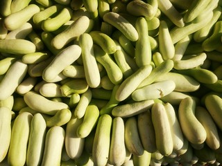 Closeup of cucumbers for sale