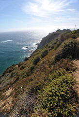 Pacific from Highway !