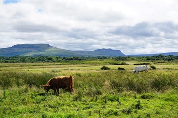 Berglandschaft in Irland
