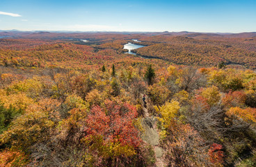 View from the firetower