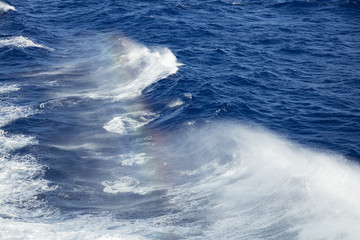 Spray rainbow from the deep ocean waves