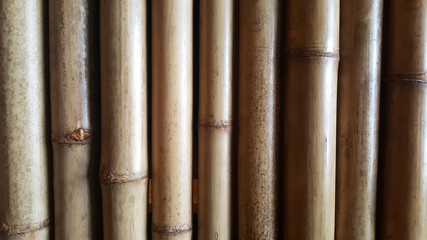 close-up Bamboo texture and side shadows with natural patterns backgrounds for announcement decoration wallpaper