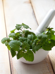 Fresh mint