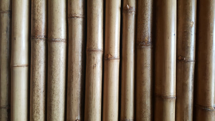 close-up Bamboo texture and side shadows with natural patterns backgrounds for announcement decoration wallpaper
