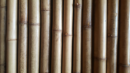 Fototapeta premium close-up Bamboo texture and side shadows with natural patterns backgrounds for announcement decoration wallpaper