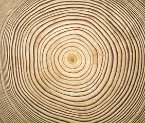 Fototapeta na wymiar wooden texture